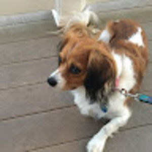 Meet your Posher, Joseph